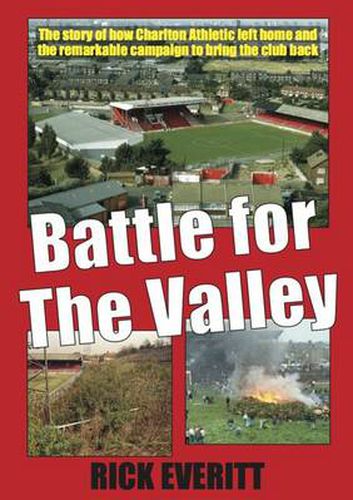 Cover image for Battle for the Valley