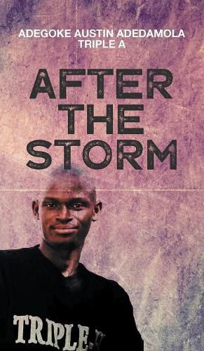 Cover image for After the Storm