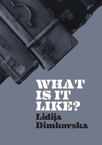 Cover image for What Is It Like?