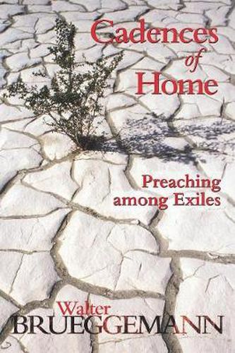 Cover image for Cadences of Home: Preaching Among Exiles