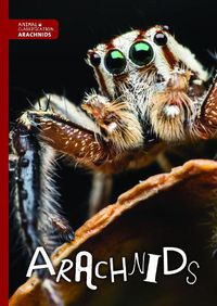 Cover image for Arachnids