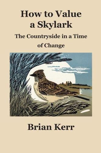 Cover image for How to Value a Skylark: The Countryside in a Time of Change