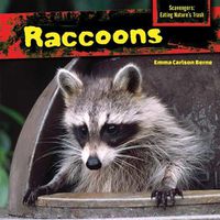 Cover image for Raccoons