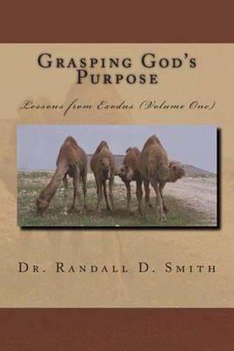 Cover image for Grasping God's Purpose (I): Lessons from Exodus