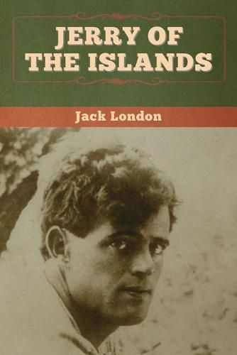 Cover image for Jerry of the Islands