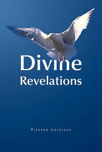 Cover image for Divine Revelations