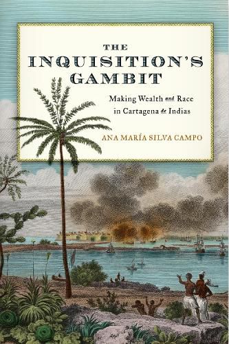 Cover image for Dispossession in the Name of Purity