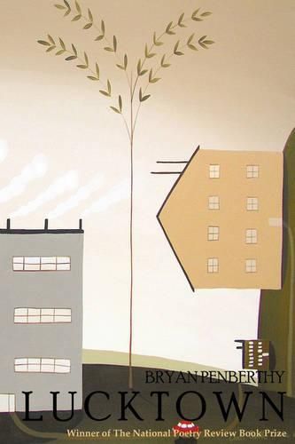 Cover image for Lucktown