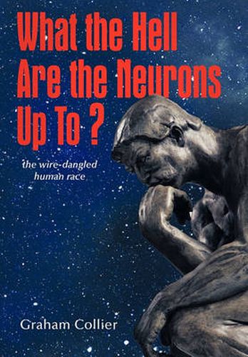 Cover image for What the Hell Are the Neurons Up To?