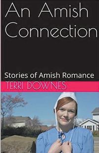 Cover image for An Amish Connection