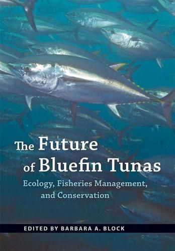 Cover image for The Future of Bluefin Tunas: Ecology, Fisheries Management, and Conservation