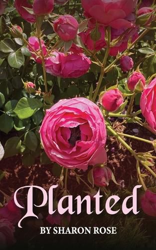 Cover image for Planted