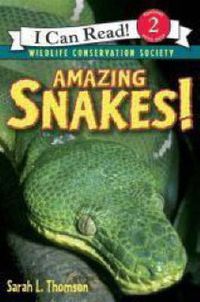 Cover image for Amazing Snakes