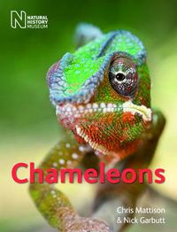 Cover image for Chameleons