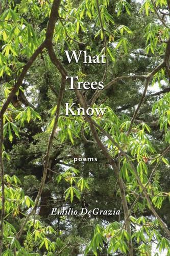 Cover image for What Trees Know: Poems