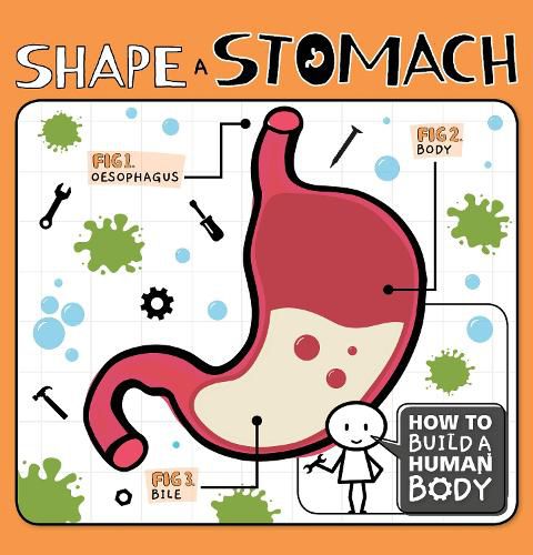 Cover image for Shape a Stomach