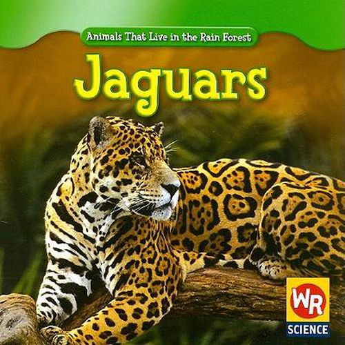 Cover image for Jaguars