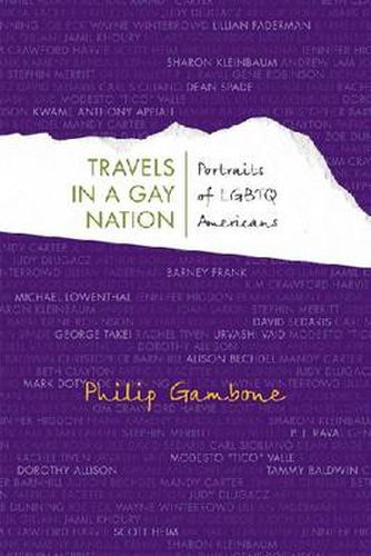 Cover image for TRAVELS IN A GAY NATION