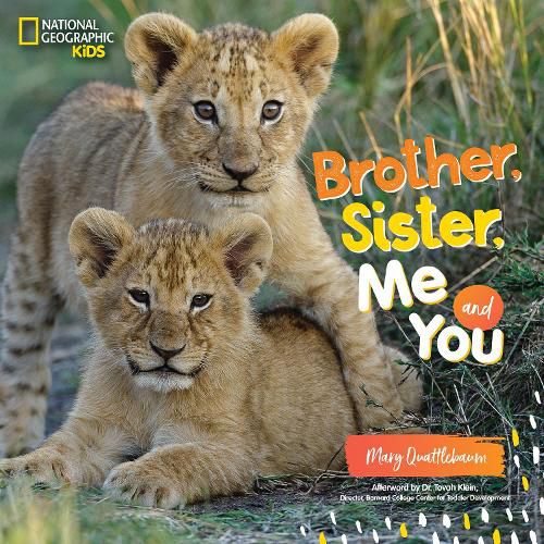 Cover image for Brother, Sister, Me, and You