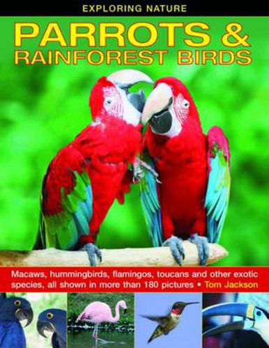 Exploring Nature: Parrots & Rainforest Birds