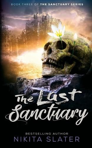 Cover image for The Last Sanctuary