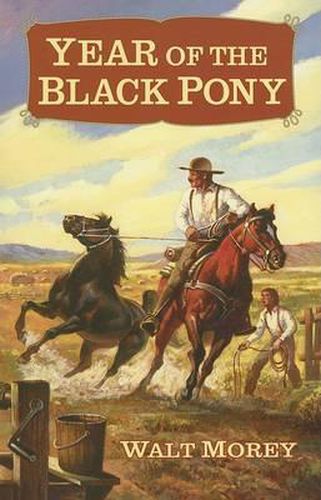 Cover image for Year of the Black Pony