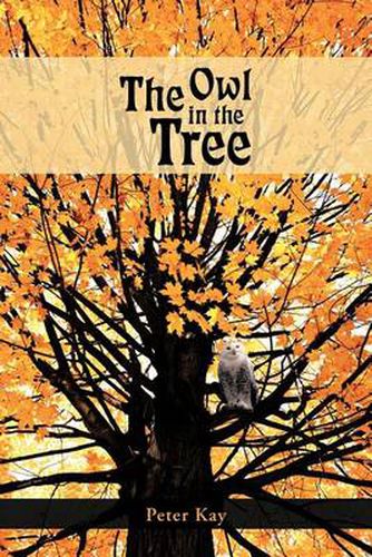 Cover image for The Owl in the Tree