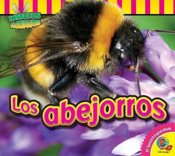 Cover image for Los Abejorros