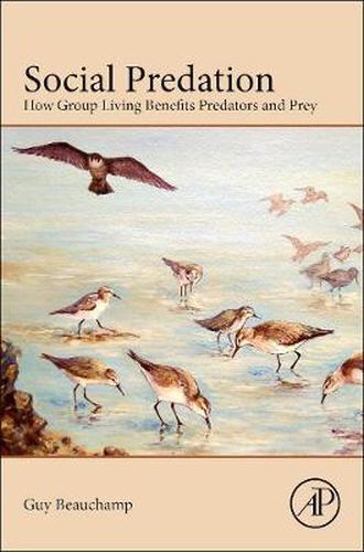 Cover image for Social Predation: How Group Living Benefits Predators and Prey