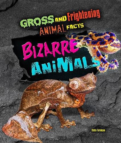 Bizarre Animals