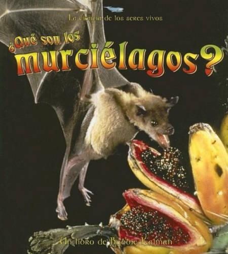 Cover image for Que son los Murcielagos?