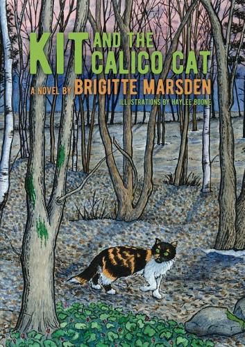 Cover image for Kit and the Calico Cat
