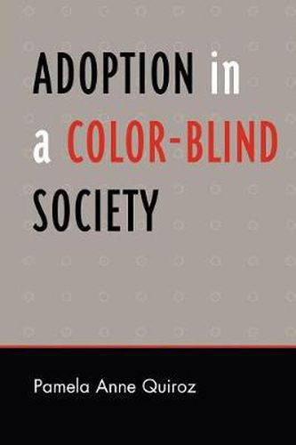 Cover image for Adoption in a Color-Blind Society