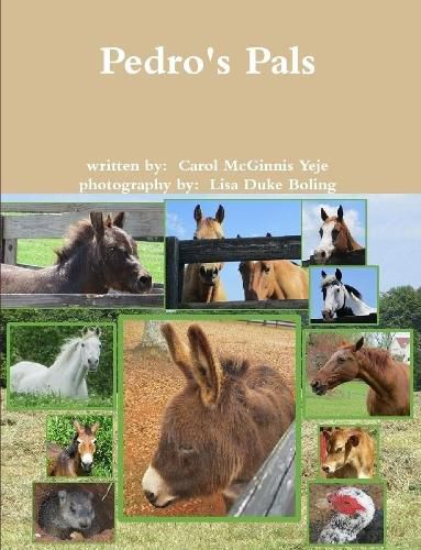 Cover image for Pedro's Pals