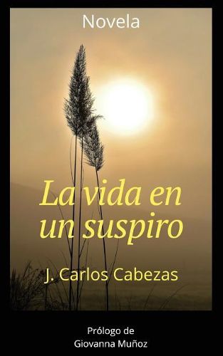 Cover image for La vida en un suspiro