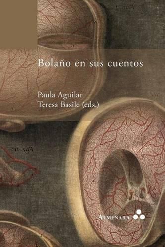 Cover image for Bolano en sus cuentos