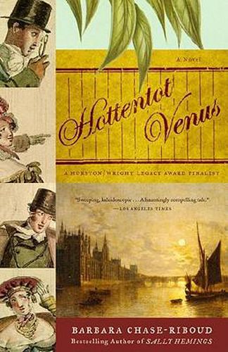 Cover image for Hottentot Venus: A Novel