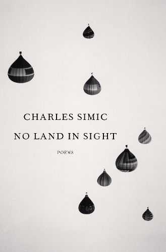 Cover image for No Land in Sight: Poems