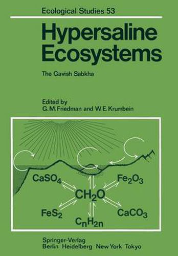 Cover image for Hypersaline Ecosystems: The Gavish Sabkha