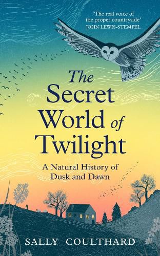 Cover image for The Secret World of Twilight