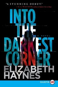 Cover image for Into the Darkest Corner