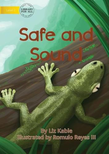 Cover image for Safe and Sound