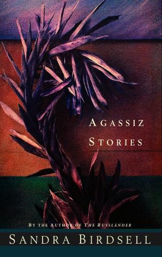 Cover image for Agassiz Stories