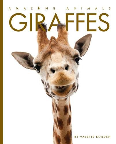 Cover image for Giraffes