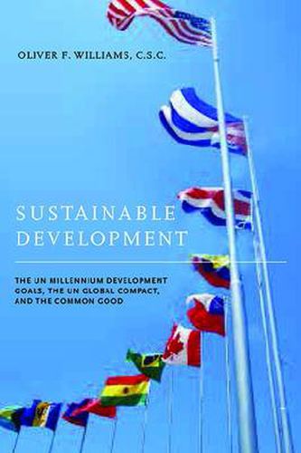 Cover image for Sustainable Development: The UN Millennium Development Goals, the UN Global Compact, and the Common Good