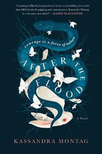 Cover image for After the Flood