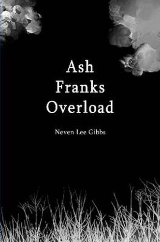 Cover image for Ash Franks Overload