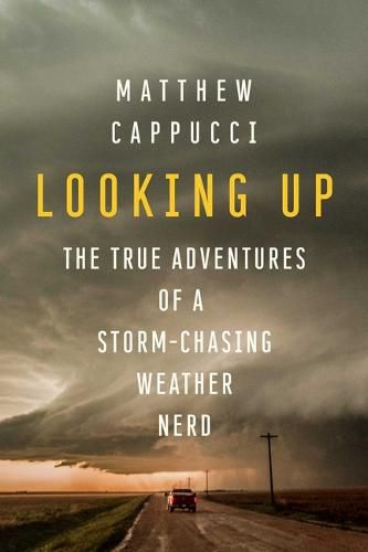 Cover image for Looking Up