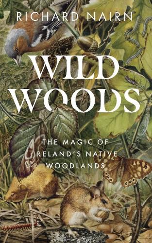 Cover image for Wildwoods: The Magic of Ireland's Native Woodlands