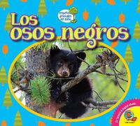 Cover image for Los Osos Negros